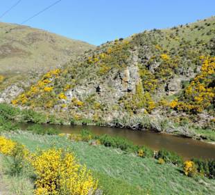 Mit der Taieri Railway durch die Natur Neuselands