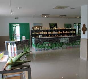 Aloe Vera Infocenter Lanzarote - Yaiza