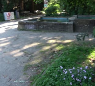 Stadtgarten Heidelberg