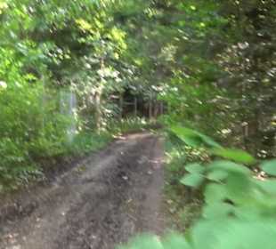 Hochgehnießen - Premiumspazierwanderweg