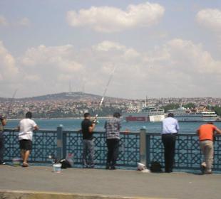 Von der Bahn aus Fotografiert