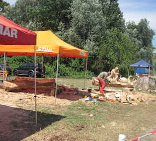 Kreativ Kettensägen am Rhein