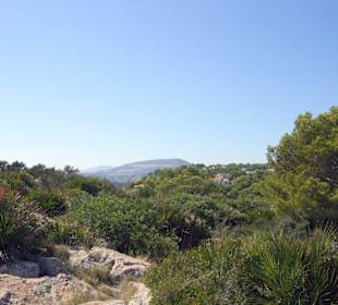Herrliche Vegetation am Cabo de la Nao