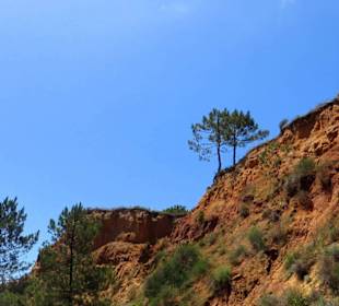 Schön anzusehen aber auch gefährlich