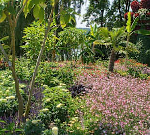 Niekończące się alejki na wyspie Mainau