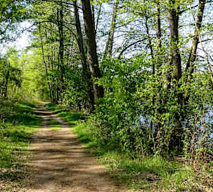 Impressionen vom Rundweg um den Oyter See