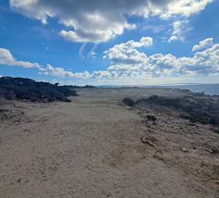 Naturschutzgebiet Ses Salines
