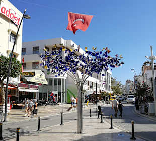 Stadtrundgang Manavgat