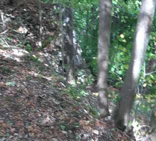 Wandertour Stahleck Greifenstein