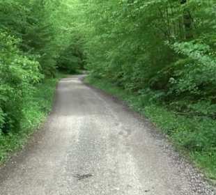 Naturpark Schönbuch