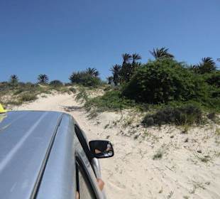 Weg zum Schiffswrack