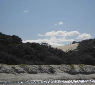 Fraser Island