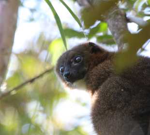 .....sehr freundlich