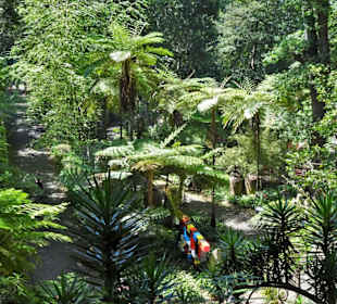 Eindrücke aus dem Monte Palace Tropical Garden