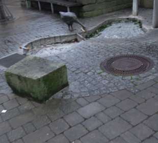 Dorfplatz Mittelstadt