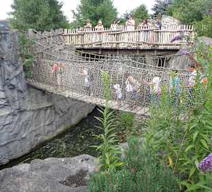 Schwingebrücke
