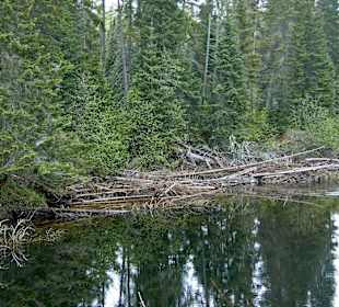 Algonquin Provincial Park, Whiskey Rapids Trail