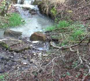 Gomaringer Rundweg - Zu den Giganten im Wald