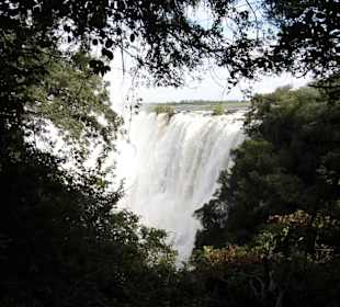 Blick auf die Wasserfälle