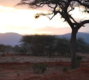 Abendstimmung im Nationalpark