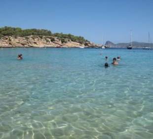 Sehr gute Wasserqualität