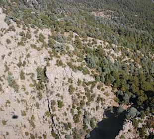 Widok z kolejki linowej