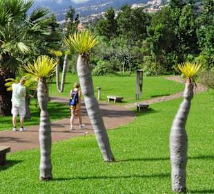 Jardim Botanico