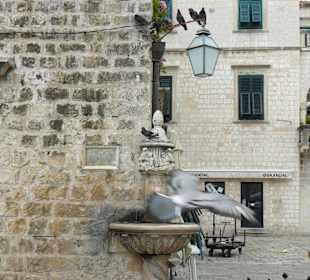 Dubrovnik