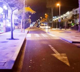 Stadtrundgang Costa Adeje