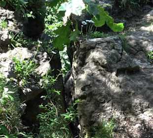 Premiumwanderweg "hochgelegen"