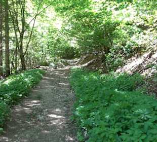 Wiesaztal Gönningen