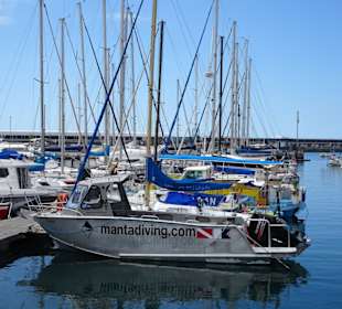 Boote der Veranstalter im Hafen von Funchal