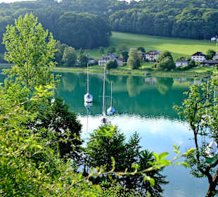 Mattsee