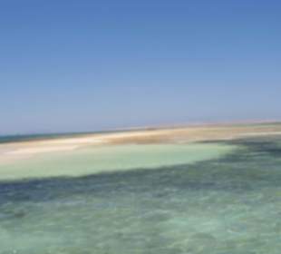 Karibikfeeling Tour / Sandbank 