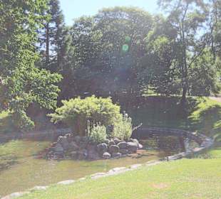 Idyllischer Vogelteich mit Springbrunnen