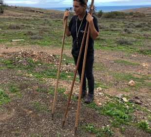 Verteilung der Wanderstöcke