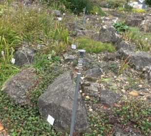 Alpinum