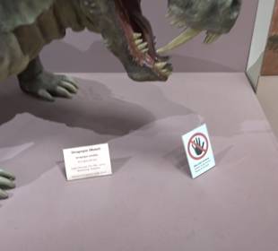 Staatliches Naturkunde Museum