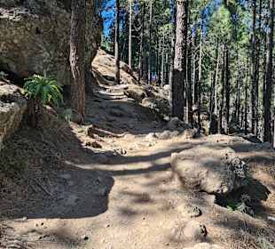 Aufwärts zum Roque Nublo