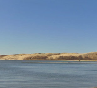 Dünenlandschaft auf der Kurischen Nehrung b. Nida