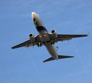 Und täglich kommen sie geflogen.