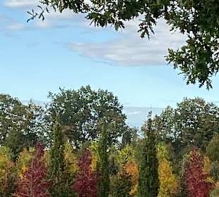 Stadtführung Ladenburg