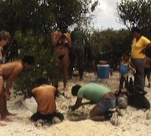 Einheimische öffnen die Einsiedler-Krebse