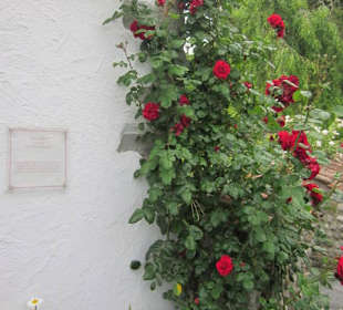 Insel Reichenau am Münster