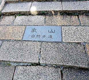 Elephant Mountain Xiangshan Hiking Trail