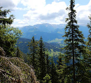 Grünten / Burgberger Hörnle