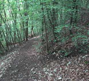 Premiumwanderweg "hochgelegen"
