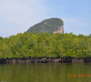Landschaft