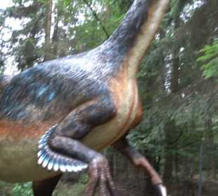 Dinosaurier Museum Altmühltal