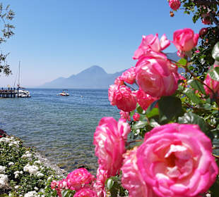 Strandpromenade Brenzone